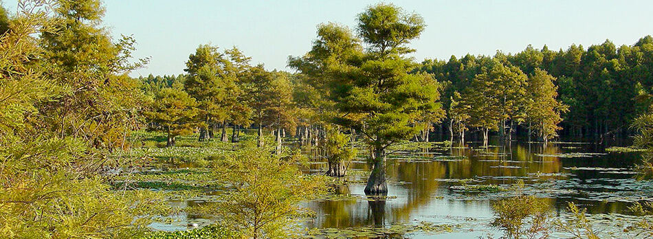Santee National Wildlife Refuge